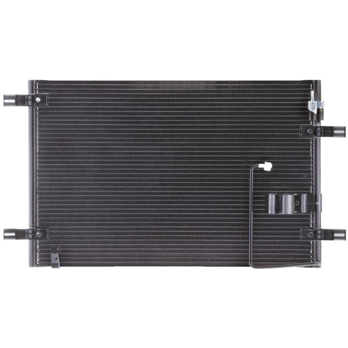 COND COMMODORE VY, 1/8/03-, , scanz_hi-res