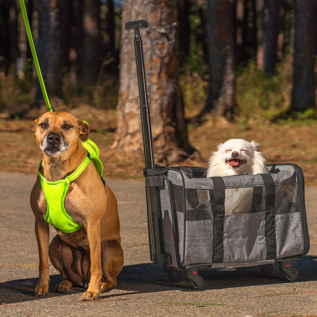 Pet Trolley Case, , scanz_hi-res