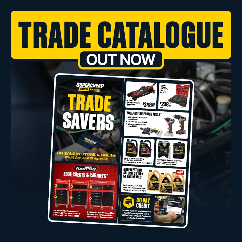 Trace Catalogue Out Now